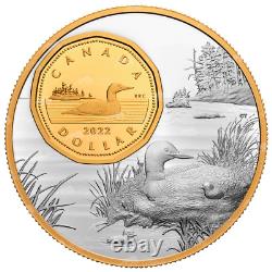 5 oz 2022 The Bigger Picture The Loon Silver Coin Royal Canadian Mint