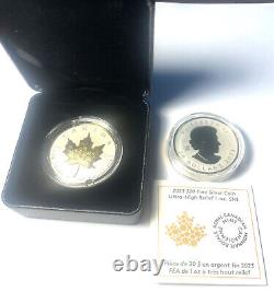 Canada $20 Dollars FABULOUS ULTRA-HIGH RELIEF Silver Maple Leaf Coin