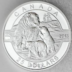 Canada 2013 $25 Polar Bear 1 oz. 99.99% Pure Silver Proof Commemorative Coin
