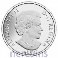 Canada 2014 Bald Eagle $100 1 Oz Pure Silver Matte Proof Coin Perfect