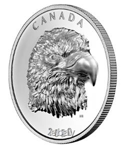 Canada 2020 25$ Proud Bald Eagle 1 oz. Pure Silver EHR Coin Royal Canadian Mint