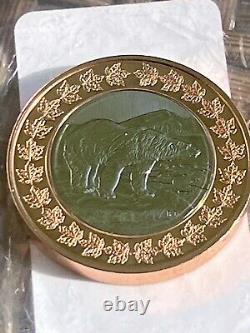 Canada Polar Bear & Royal Canadian Mint President Medal Proof Coin Token