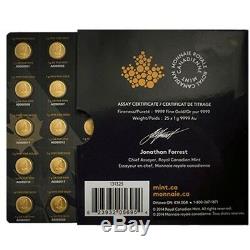 Maplegram Gold 2019 Maple Coins RCM 25 x 1 g Gold Sheet Royal Canadian Mint