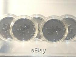 NEW 2020 Canadian Twin Maples 2 oz Silver BU SHIPS FREE IN CAPSULE