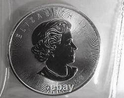 Queen Elizabeth 1.25 Troy Oz. 9999 Fine Silver 2015, Bison Buffalo, Rcm Canada