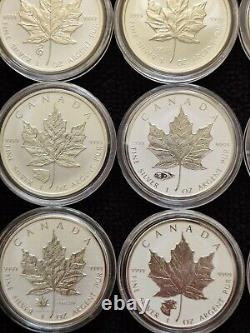 RCM 1 oz Silver Privy Maple lot 33 coins Nice collection9999 Bullion
