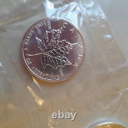 Rare 10x Canada Silver Maple Leaf. 9999 1 Ounce 0z Silver airtight sheet