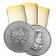 Roll Of 25 2020 Canada 1 Oz Silver Maple Leaf Coins Brilliant Uncirculated
