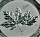Scarce 2020 2 Oz. 9999 Silver Canadian Twin Maple Leaf Coin Bu In Capsule