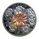 The Bumble Bee And The Bloom 2019 Canada 5oz Pure Silver Coin Rcm