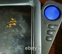 1 Gramme Or 24k. 9999 Rcm Refined Pure Gold Grain Shot Bullion In Vial