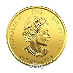 1 Oz 2019 Appel De La Série Sauvage Moose Gold Coin