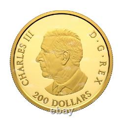 1 oz 2024 Pièce d'Or Couronnes Royales Canadiennes de la Monnaie Royale Canadienne