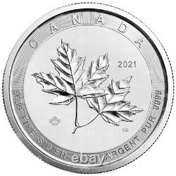 10 Oz 2021 Magnifique Feuille D'érable Pièce D'argent Monnaie Royale Canadienne