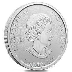 14 pièces Tube 2 oz 2023 RCM Sabre-Tooth Cat Canadian Mint 9999 Pièces en argent fin