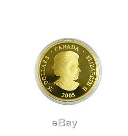 2005 $ 75 Dollar Royal Gold Canadian Mint 10 Karat Proof Coin Pape Jean-paul II