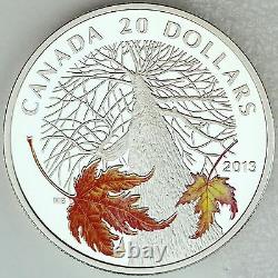 2013 20 $ Canopée Canadienne À L’érable En Automne. 9999 Pure Silver Color Proof Coin