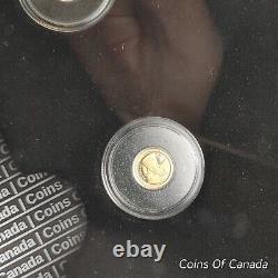 2013 Canada La collection de pièces d'or la plus abordable - Ensemble de 12 pièces #piècesdecanada