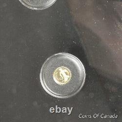 2013 Canada La collection de pièces d'or la plus abordable - Ensemble de 12 pièces #piècesdecanada