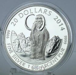 2014 $20 Mammouth Laineux, 1er Chez Les Animaux Préhistoriques, 1 Oz Pure Silver Proof Coin