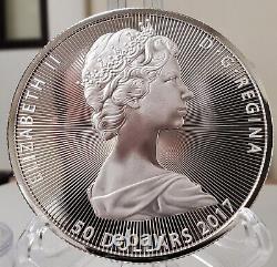 2017 Canada 10 Oz Argent The Great Niagara Falls Coin In Capsule Bu 50 $