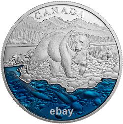 2017 Masters Club Coin Grizzly Ours 20 $ 1oz Pure Silver Proof Coin Canada