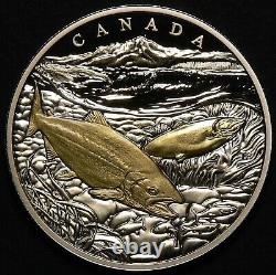 2017 Saumon du Pacifique Canada $20 Épreuve en argent fin plaqué or #19853