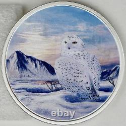 2018 $20 Arctic Animals Snowy Owl 2 Oz Pure Silver Glow-in-the-dark Color Proof