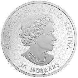 2018, 30 $, 110e Anniversaire De La Monnaie Royale Canadienne, Pièce D'argent Pur