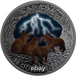 2018 Stormy Night Nature's Light Show $50 5oz Silver Proof Glow-dark Coin Canada