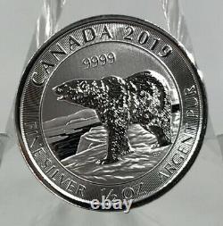 2019 $ 2 Canada Silver Polar Bear Rouleau De 20 Pièces De Monnaie Gem. 10 Onces D'argent Pur