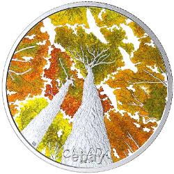 2019 L'oie Du Canada 2 Oz. 9999 Pièce D'argent Monnaie Royale Canadienne 188,88 $