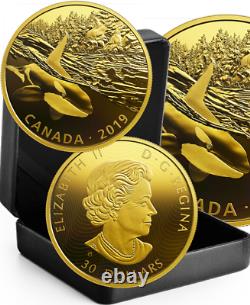 2019 Orca & Sea Lions 30 $ 2oz Pure Silver Proof Coin Canada Prey Golden Predator