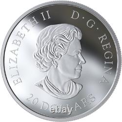 2019 Steve Sky Wonders 20 $ 1oz Pure Silver Proof Coin Canada Glow-in-dark