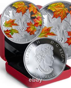 2019 Wily Wolf Iconic Fall Maple Leaf 30 $ 2oz Pure Silver Proof 50mm Coin Canada