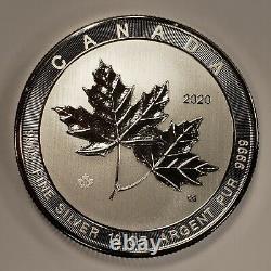 2020 50 $ Canada 10 Oz. 9999 Feuille D'érable Argentée Érables Magnifiques Sku-u1119