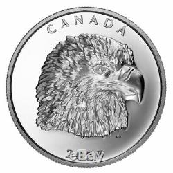 2020 Canada 1 Oz Silver Eagle Canadienne Extraordinaire À Haut Relief 25 $ Preuve De Retard
