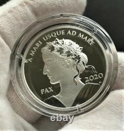 2020 Canada Dollar Peace Ultra High Relief $ 1 99,99% Pure Silver Coin