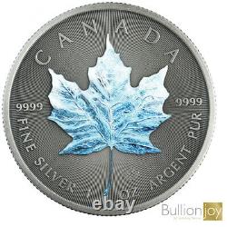 2020 Canada Maple Leaf Four Seasons Argent Set Coin