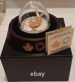 2020 Le Colibri En Mouvement Et La Fleur 50 $ 5oz Pure Silver Proof Coin Canada