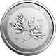 2021 10 Oz Canadian Silver Magnificent Maple Leaf Coin Avec Capsule D'usine