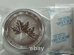 2021 10 Oz Canadian Silver Magnificent Maple Leaf Coin Avec Capsule D'usine