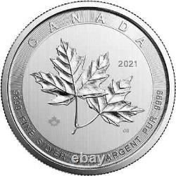 2021 10 Oz Canadian Silver Magnificent Maple Leaf Expédie Dans Une Capsule De Menthe