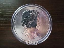 2021 10 Oz Royal Canadian Mint Magnifique Feuilles D'érable En Capsule