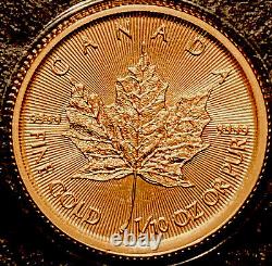 2021 5 Dollars Canada 1/10 Oz Feuille D’érable Or Bu Menthe Scellée