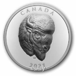 2021 Canada 25 $ Bison Bold Extraordinairement Haut Relief (ehr) Pièce D'argent Fin