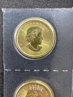 2021 Canada 5 Dollars 1/10 Oz Feuille D’érable D’or. 9999 Bu Menthe Scellée