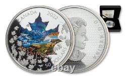 2022 50 $ Canada 3oz. 9999 Pièce Couleur De Collage D'argent Ogp Coa