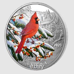 2023 1 Oz D'argent Cardinal Oiseaux Colorés Mrc. 99999 Argent Fin Nouveaut En Box