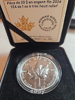 2024 Canada? Pièce en argent fin de 1 oz Ultra-High Relief Scintillantes Sapins